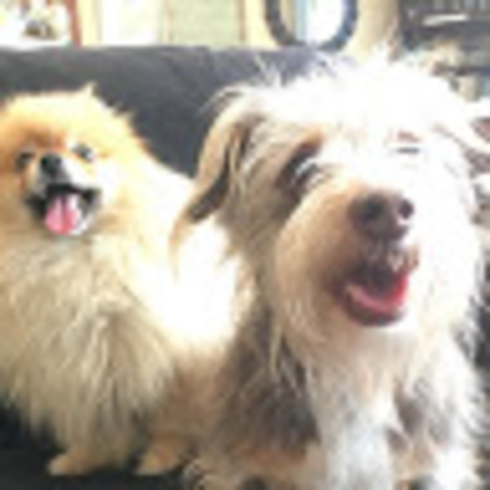 Meet your Posher, Peggy